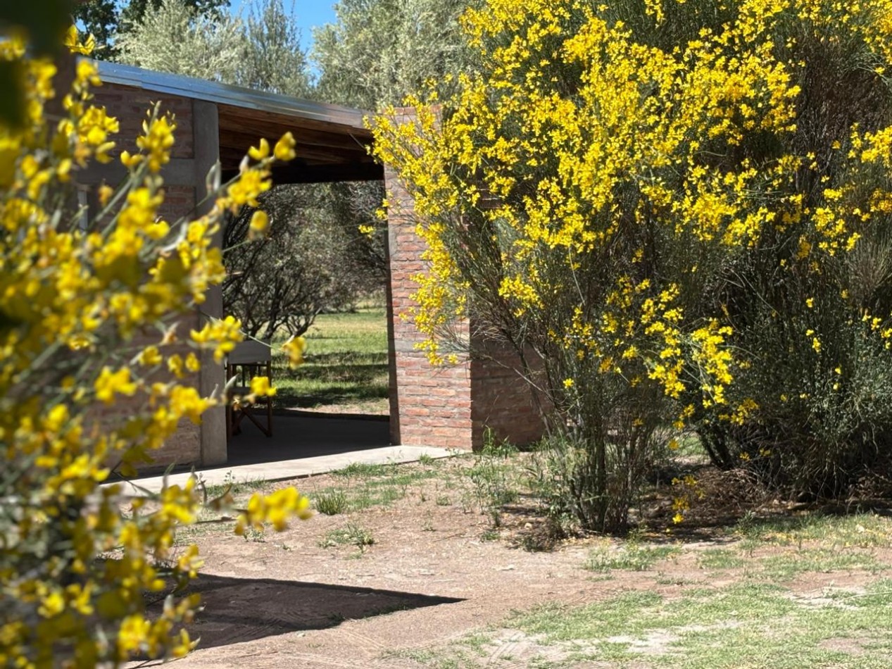 ALQUILER TURISTICO EN SAN RAFAEL