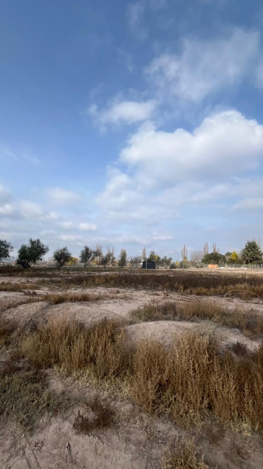 TERRENO EN VENTA EN LUJAN DE CUYO, MENDOZA