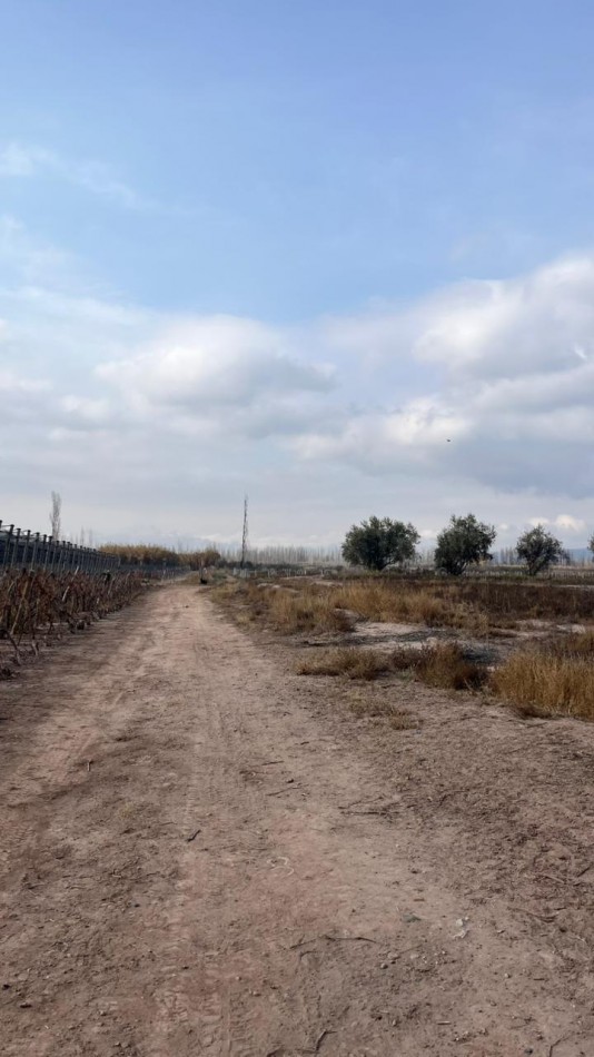 TERRENO EN VENTA EN LUJAN DE CUYO, MENDOZA
