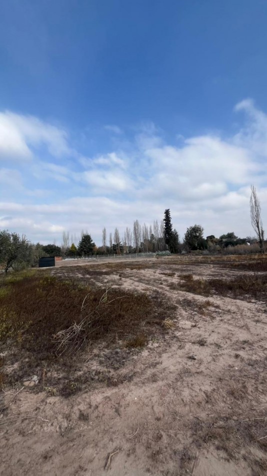 TERRENO EN VENTA EN LUJAN DE CUYO, MENDOZA