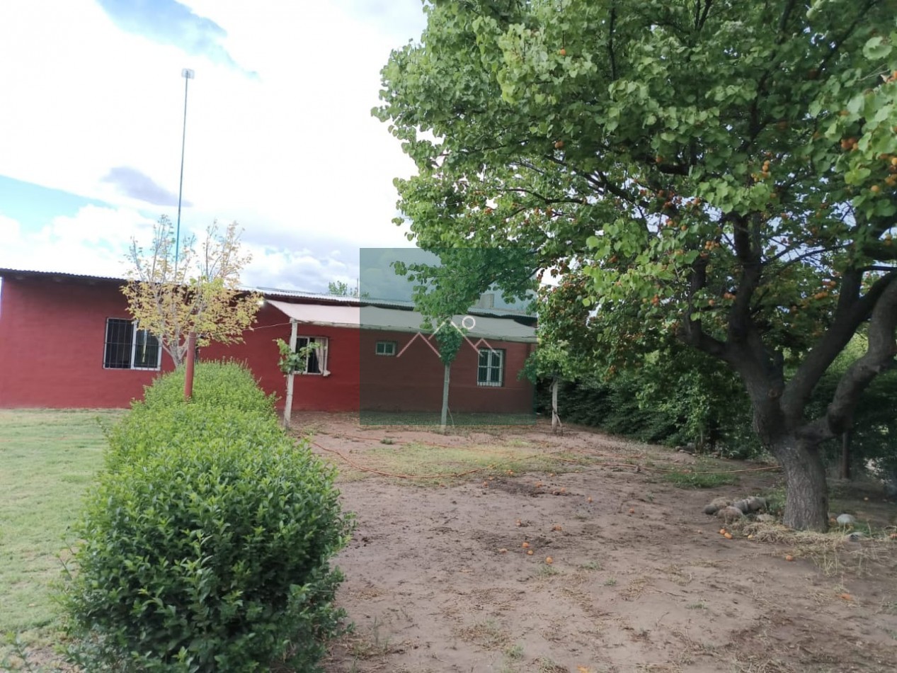CASA QUINTA