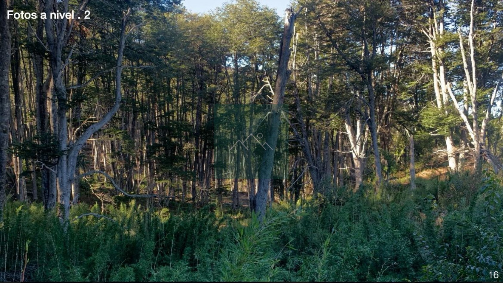 TERRENO EN VENTA EN VILLA LA ANGOSTURA