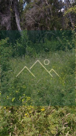 TERRENO - EL BOLSON
