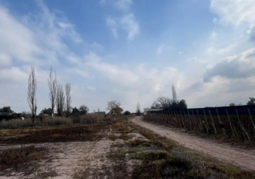 TERRENO EN VENTA EN LUJAN DE CUYO, MENDOZA